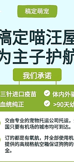 猫狗宠物店简约可爱产品推广长图海报