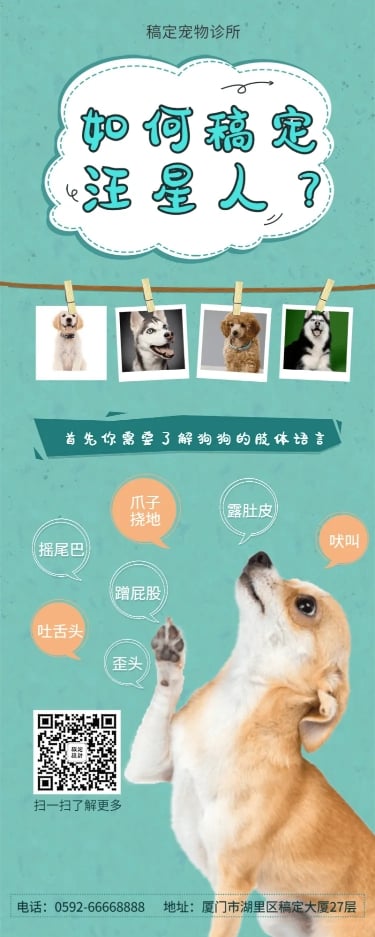 点击进入编辑 宠物狗狗可爱清新知识科普长图海报预览效果