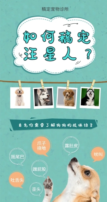 宠物狗狗可爱清新知识科普长图海报