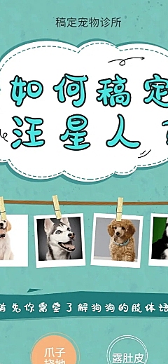 宠物狗狗可爱清新知识科普长图海报