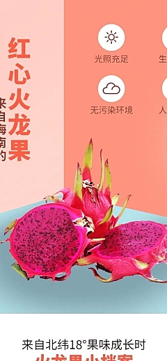 食品生鲜水果火龙果详情页