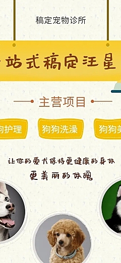 宠物卡通项目介绍长图海报