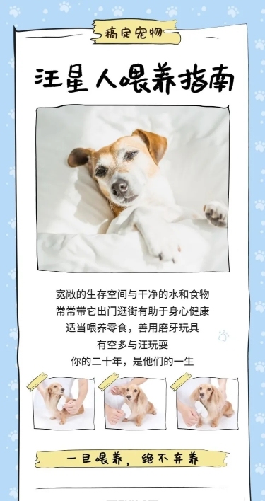宠物清新知识科普长图海报