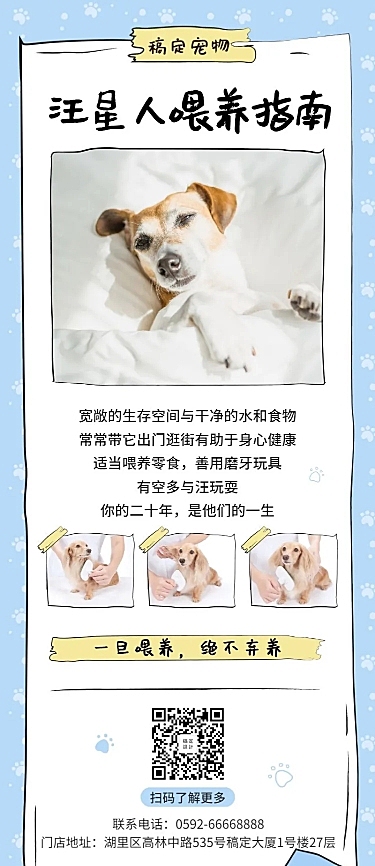 宠物清新知识科普长图海报