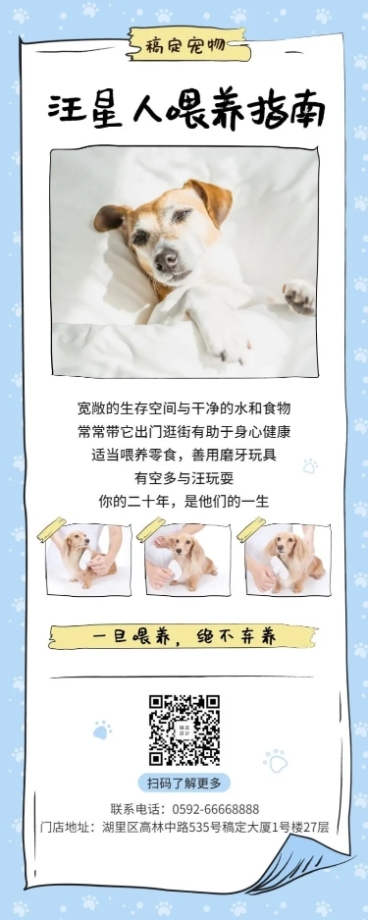 宠物清新知识科普长图海报预览效果