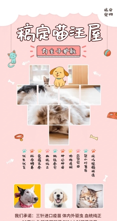 宠物清新可爱项目介绍长图海报