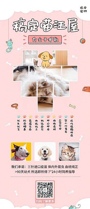宠物清新可爱项目介绍长图海报