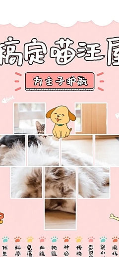 宠物清新可爱项目介绍长图海报
