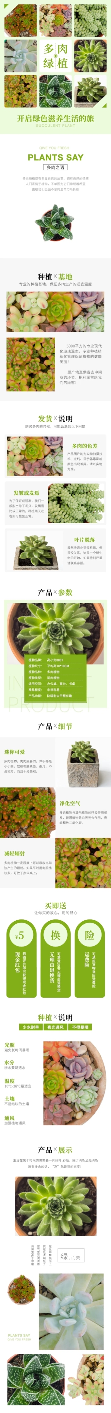绿植花卉植物多肉盆栽详情页预览效果