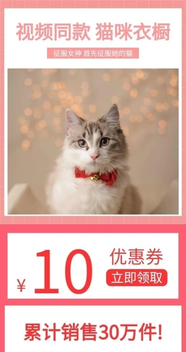 宠物萌宠抖音同款猫咪衣橱详情页