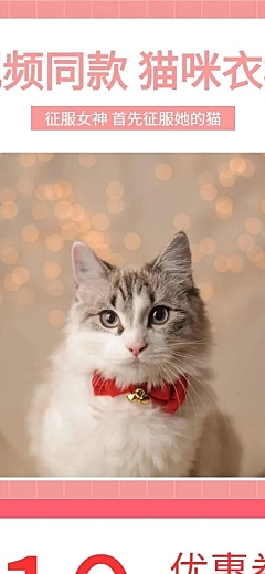 宠物萌宠抖音同款猫咪衣橱详情页