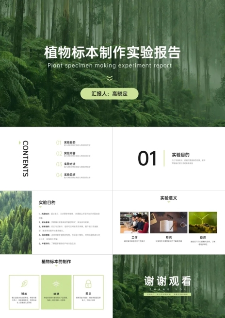 绿色清新实验报告PPT预览效果