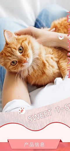 可爱卡通宠物萌宠猫咪外套详情页