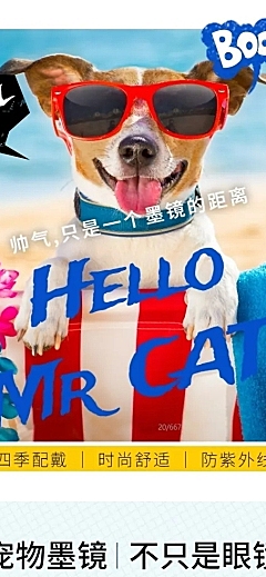 宠物萌宠猫狗饰品眼镜潮酷详情页