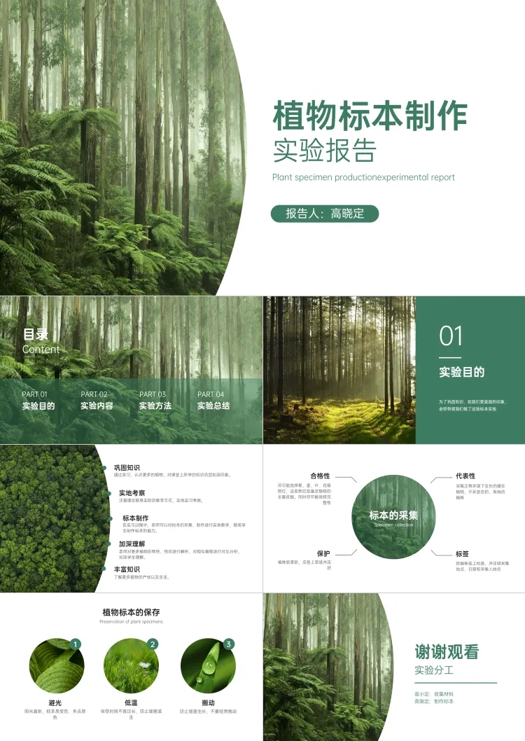 点击进入编辑 绿色简约实验报告PPT预览效果