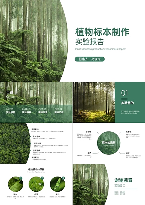 绿色简约实验报告PPT