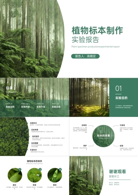 绿色简约实验报告PPT预览效果