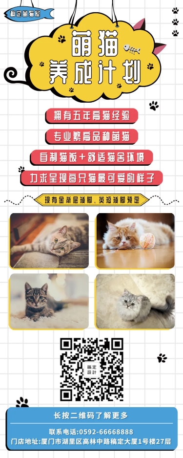 猫咪猫咪繁育促销营销长图