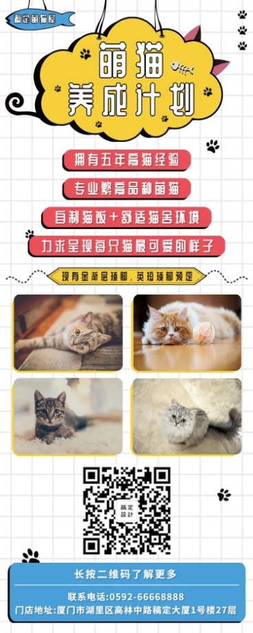 猫咪猫咪繁育促销营销长图预览效果