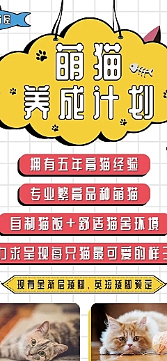 猫咪猫咪繁育促销营销长图
