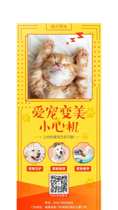 宠物项目介绍卡通可爱展架
