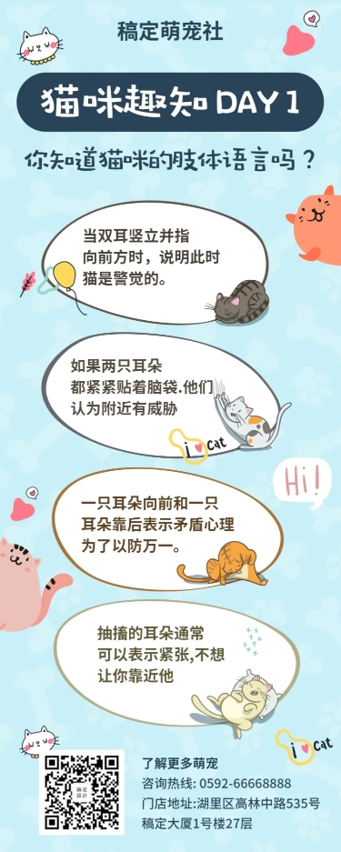 点击进入编辑 猫咪趣知猫咪社科普营销长图预览效果