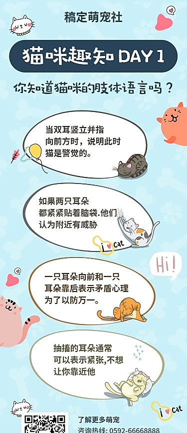 猫咪趣知猫咪社科普营销长图
