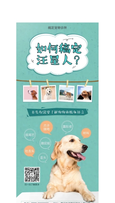 宠物项目介绍卡通可爱X展架