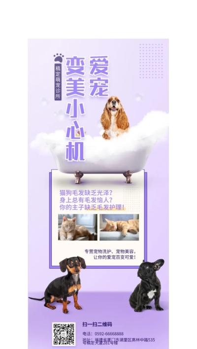 宠物宠物诊所简约可爱展架