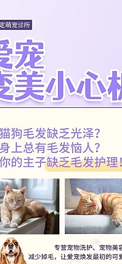 宠物诊所简约可爱长图海报