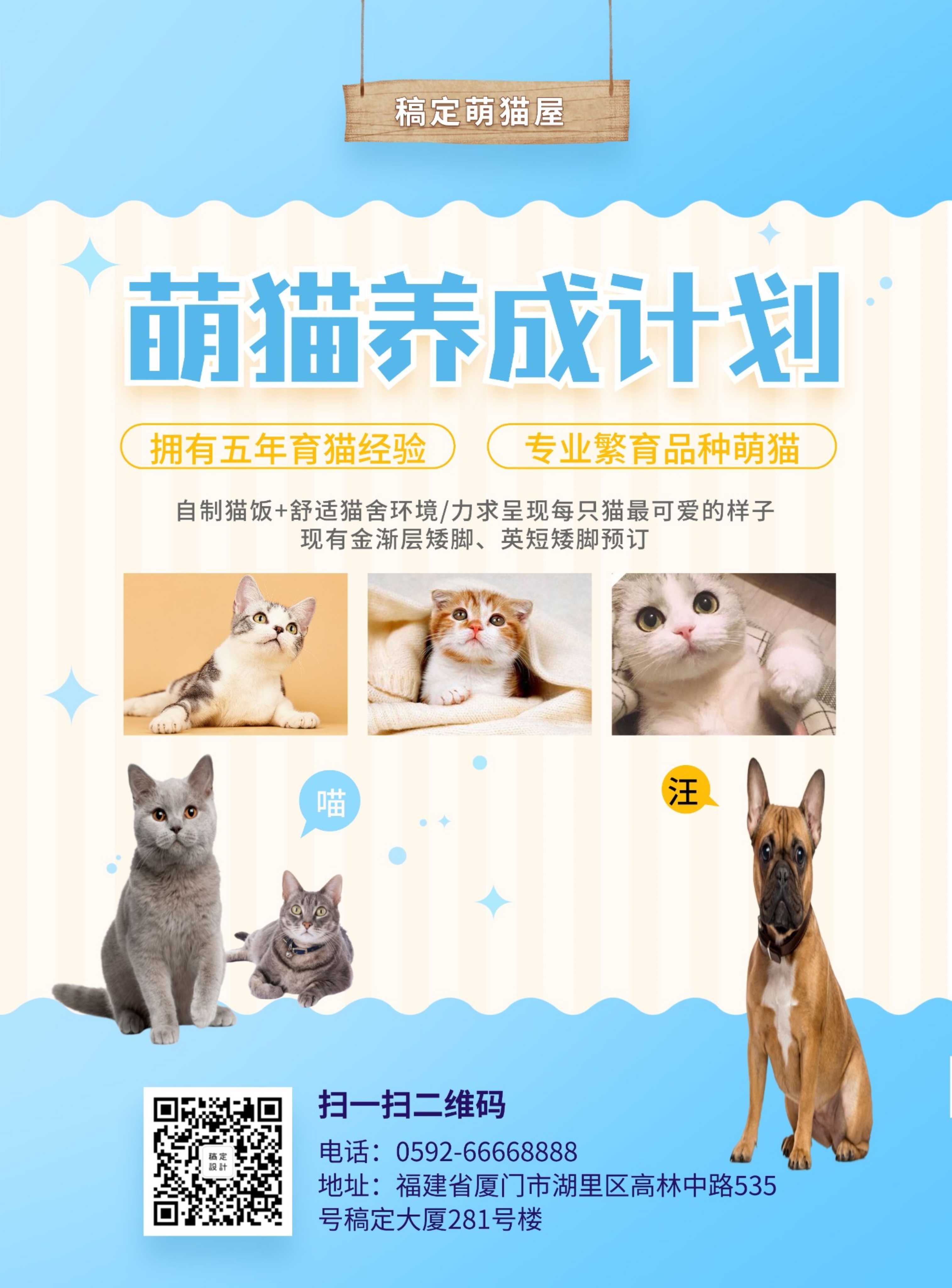 萌猫养成计划卡通可爱张贴海报