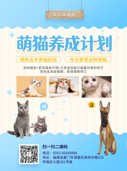 萌猫养成计划卡通可爱张贴海报预览效果