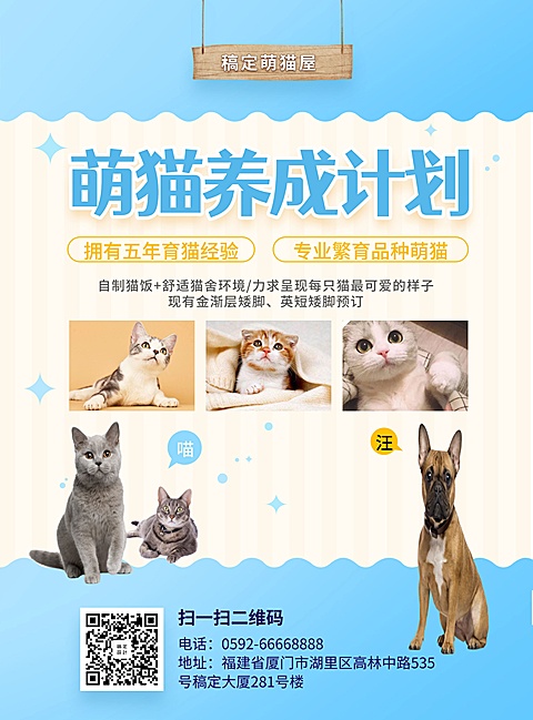 萌猫养成计划卡通可爱张贴海报