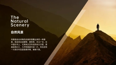 并列关系1项PPT图文页