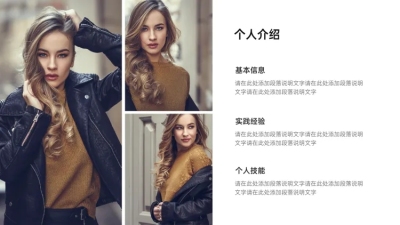 并列关系3项PPT图文页