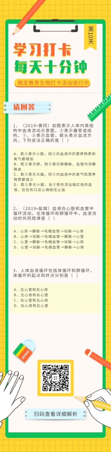 学习打卡签到考试题目答题长图预览效果