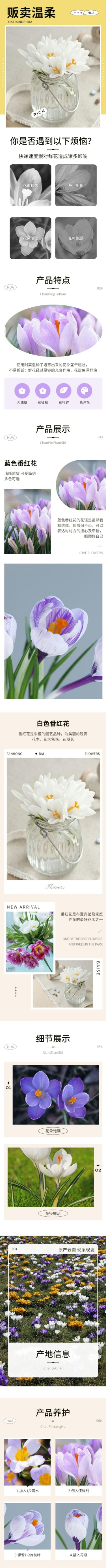 点击进入编辑 电商鲜花植物产品展示详情页预览效果