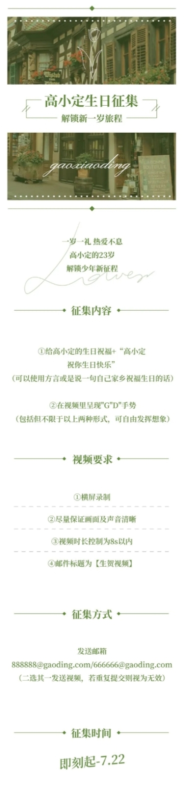 法式简约风明星生日应援长图预览效果