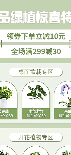 电商园艺产品展示长图海报