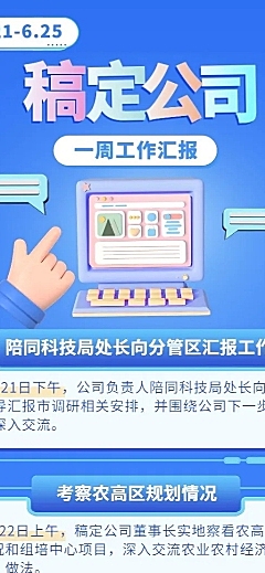 企业商务企业内部项目情况周报长图海报
