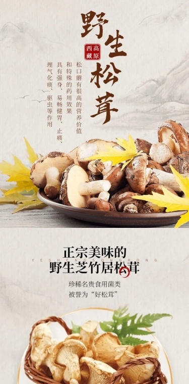 电商食品菌类特产详情页