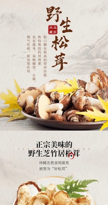 电商食品菌类特产详情页