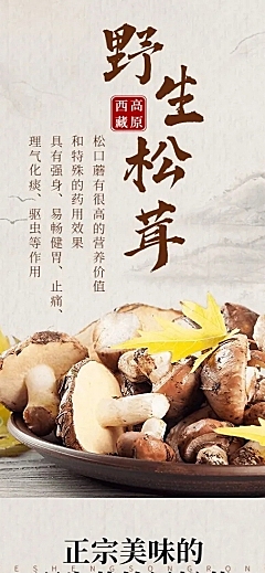 电商食品菌类特产详情页