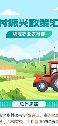 融媒体乡村振兴插画文章长图