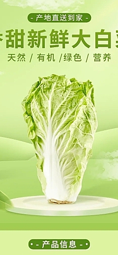 电商食品蔬菜大白菜详情页