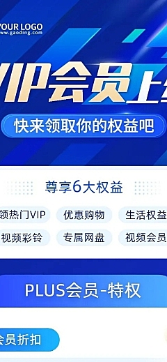 IT互联网平台会员权益技术服务展示