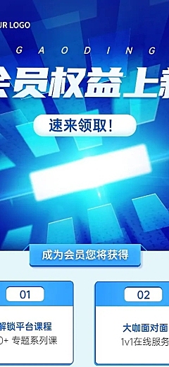 IT互联网平台权益展示长图海报