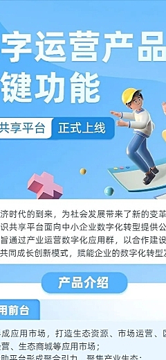IT互联网技术数字平台功能服务介绍长图