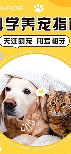 日常生活宠物知识科普文章长图
