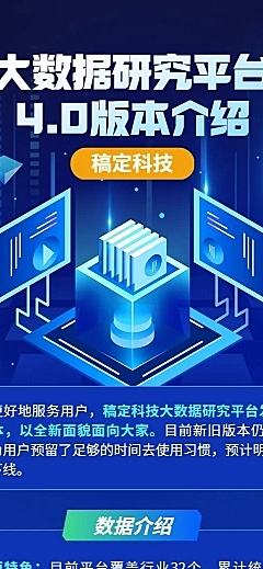 IT互联网数字平台服务介绍长图海报